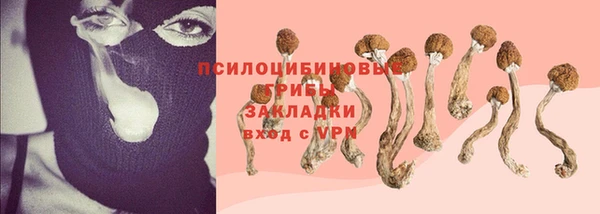 первитин Бородино