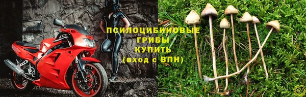 ECSTASY Бронницы