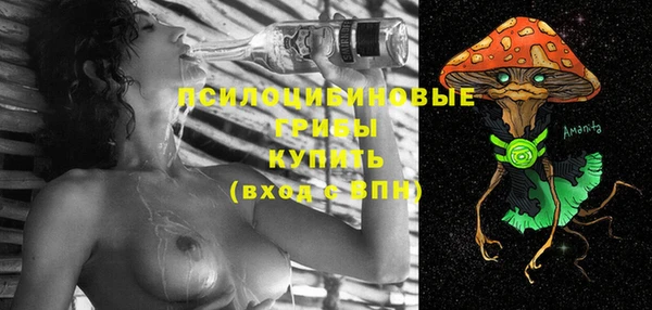 дурь Верея