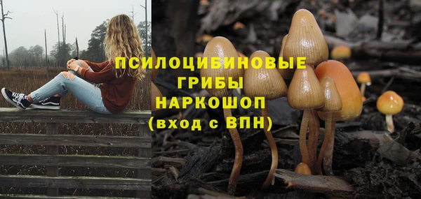 первитин Бородино
