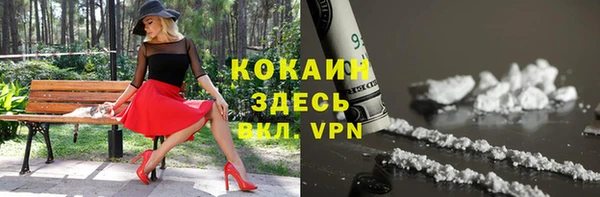 дурь Верея